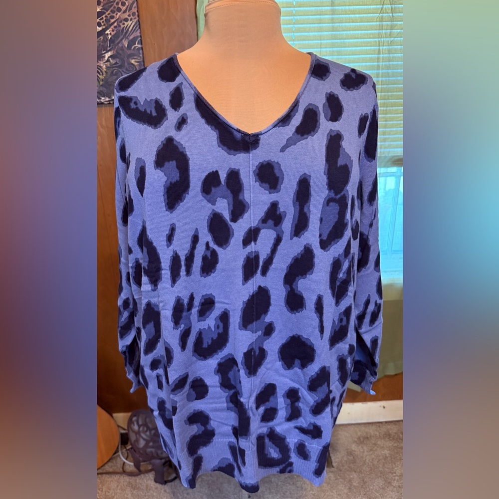 Belle by Kim Gravel Big Cat Relaxed Tunic Sweater - Chambray Blue (Size 1X)